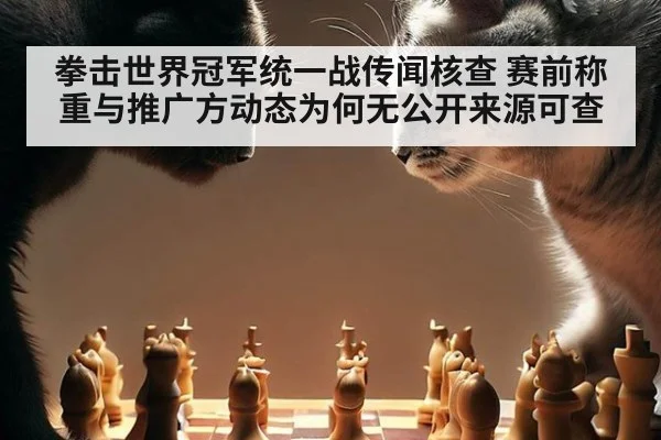拳击世界冠军统一战传闻核查 赛前称重与推广方动态为何无公开来源可查