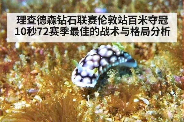 理查德森钻石联赛伦敦站百米夺冠 10秒72赛季最佳的战术与格局分析