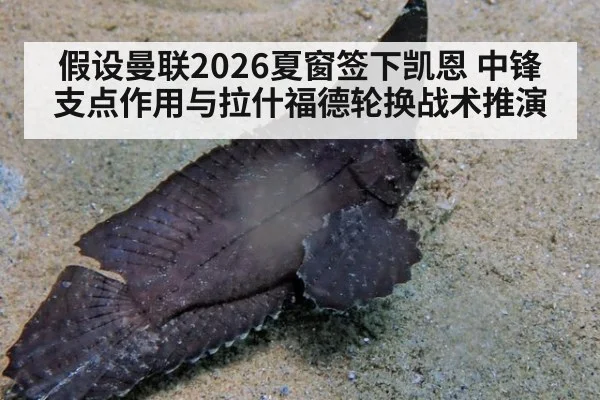 假设曼联2026夏窗签下凯恩 中锋支点作用与拉什福德轮换战术推演